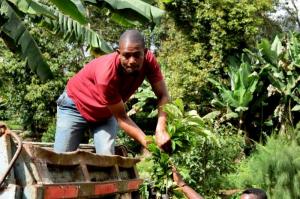 Young man working in tree nursery in Tanzania, holding trees