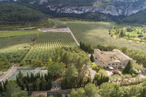 The 63 hectares of land includes an ample olive grove, a lemon tree orchard and other excellent farmland with plenty of water, provided by the estate’s resources.