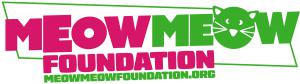 Meow Meow Foundation prevents childhood drowning and improves summer camp safety.