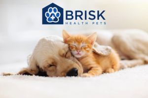 Brisk Health