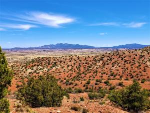 Mkia wa Diamond - Placitas, New Mexico