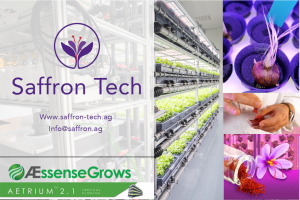 Seedo Corp - Saffron-Tech - AEssenseGrows SmartFarm Grows Saffron
