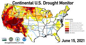 Die Dürrebedingungen im Westen der Vereinigten Staaten werden nun als die schlimmsten seit fast 1.200 Jahren befürchtet.