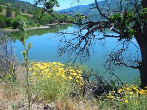 Copco Lake is a scenic mountain lake that supports wildlife and water resources