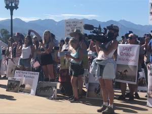 A crowd of more than 100 advocates gathered on the Utah State Capitol Steps with Katherine Heigl on July 2, 2021