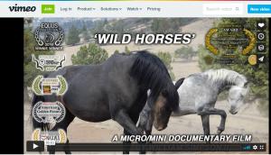 Title Screen for Wild Horses - An award-winning micro-documentary film