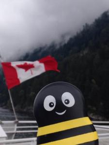 Image of Buzzy with Canadian Flag