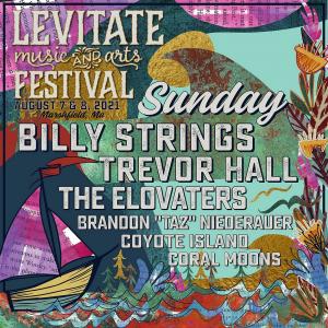 Levitate Music Festival Discount Tickets Promo Code