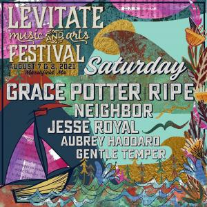 The Levitate Music Festival Promo Code is 
