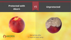 Side by side comparison of fresh nectarines with and without Akorn edible coating