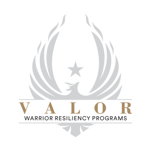 Valor Resiliency Program Logo