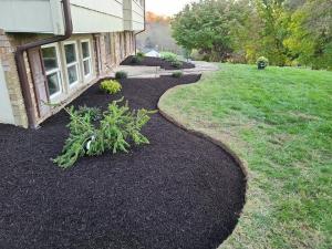 The detail guys mulching and landscaping picture
