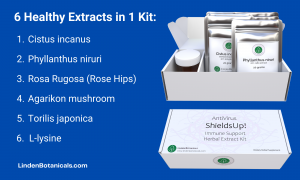 ShieldsUp Kits - 6 Immune Health Support Extracts  sold by Linden Botanicals