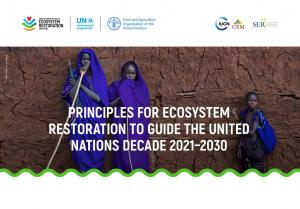 Principles for Ecosystem Restoration to Guide the United Nations Decade 2021-2030