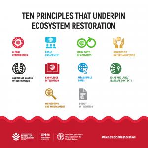 The Ten Principles that Underpin Ecosystem Restoration