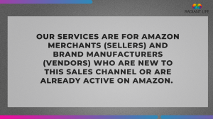 Our services are aimed at Amazon merchants (sellers) and brand manufacturers (sellers)