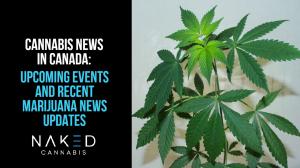 Upcoming Events and Recent Marijuana News Updates