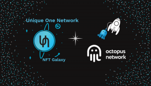 Unique One Network the next Appchain in the Octopus Network