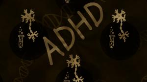 Parents are being told that their child has a ‘mental disorder’ but in actual fact there is no independent, valid test for ADHD nor is there any data to indicate that ADHD is due to a brain malfunction.
