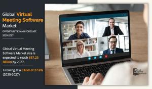 Virtual meeting software