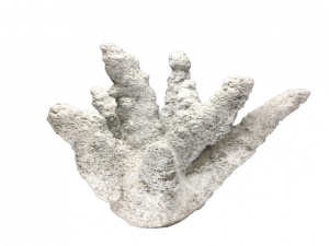 A 3d printed sustainable concrete branch coral designed to help restore dying coral reefs