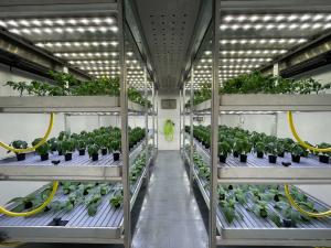 Plant Growth Chambers Market