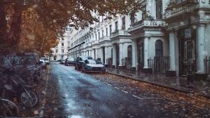 Photo of a London street in autumn with fallen leaves