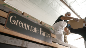 GreenCrate Farm preparing to deliver produce boxes to LA homeless community.