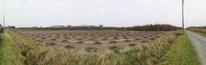 Franky Jonckheere took this panoramic photo of the site at Karperstraat in Ostend that will be planted on December 19, 2021. He is a close friend of Johan Gysel and Griet Depreitere parents of Charlotte Gysel.