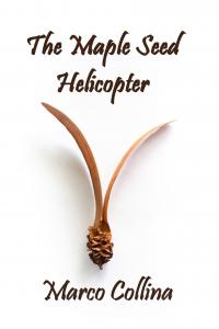 Marco Collina's Maple Seed Helicopter