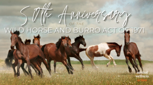 50th Anniversary of the Wild Horse and Borough Act