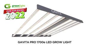 Gavita Pro 1700e named Top Pick for 2022 by Greenlight Distribution