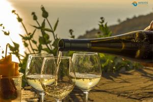 Santorini Wine Tour