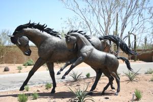 Mare and colt running