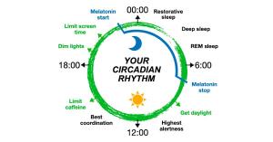 Melatonin is what gets you to sleep. Bright light and caffeine are not helping. Schedule your day to get your circadian rhythm on track