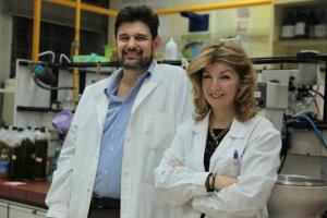 Dr. Prokopios Magiatis and Dr Eleni Melliou researching how oleocanthal effects the symptoms of Chronic Lymphocytic Leukemia's increasing white blood cell count