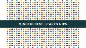 Mindfulness Starts Now as Mind Body Align supports educators