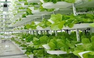 indoor farming companies