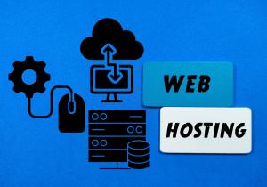 web hosting services provided by bluefly studios