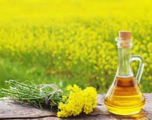 Indian Mustard Oil Market Report