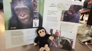 Cheeky Monkey Media's Adopt-A-Primate Initiative