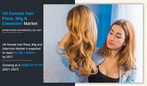 Market for hairpieces, wigs and female hair extensions