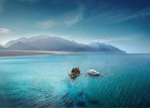 Haql Shipwreck, Tabuk