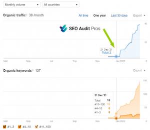 Steep improvement in organic traffic and keywords after successful SEO audit