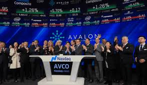 $AVCO NASDAQ