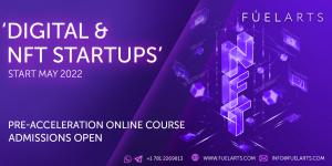 Digital & NFT Startups / Startups and NFT based products.
