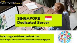 TheServerHost Launched Singapore, Asia Dedicated Server Hosting Plans at very low cost