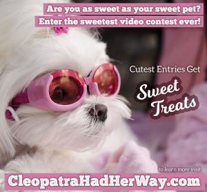 Do you love to dance and party for good? Enter The Sweetest Pet Dance Contest Ever to win Love to Shop for Good Gift Cards. Submit a dance video of you and your pet "show off your best moves" to win (must live in the USA). The pet contest will be judged b