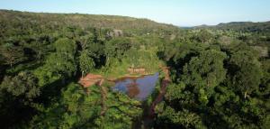 Vešlus kraštovaizdis, laistomi ir išgelbėti drambliai dramblių rezervate Brazilijoje