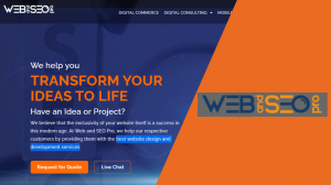 Web and SEO Pro Image